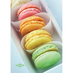 Füzet pd kisalakú 27-32 kockás macaron