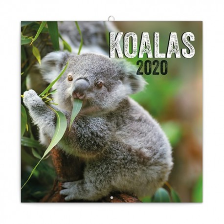 Naptár fali Realsystem 6097 lemez 30x30 cm Koalas