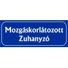 Mozgáskorlátozott zuhanyzó 25x10 cm