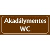 Akadálymentes wc 25x10 cm