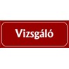 Vizsgáló 25x10 cm