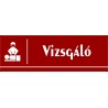 Vizsgáló 30x10 cm