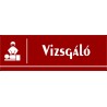 Vizsgáló 30x10 cm