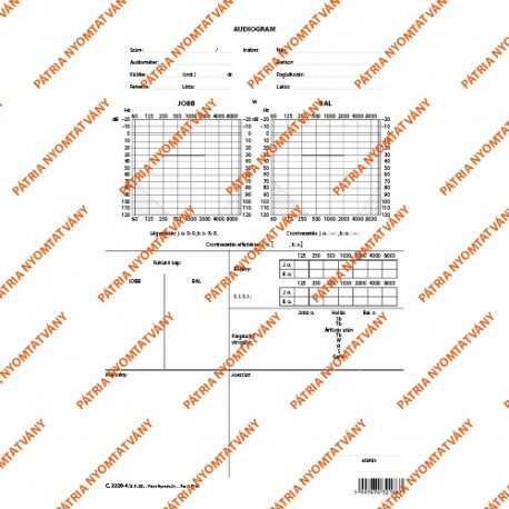 Audiogram szabadlap A/4 álló