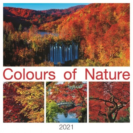 Naptár fali Kalendart T092-14 álló 42 x 42 cm Colours of Nature