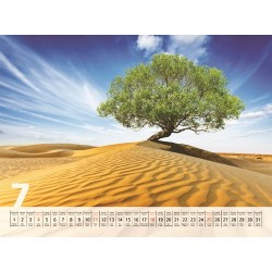 Naptár fali Kalendart T093-29 fekvő 42 x 31 cm fák
