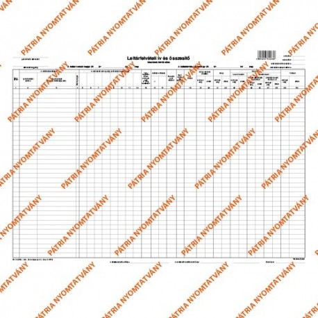 Leltárfelvételi ív és összesítő készletek felvételére szabadlap 500x350 mm