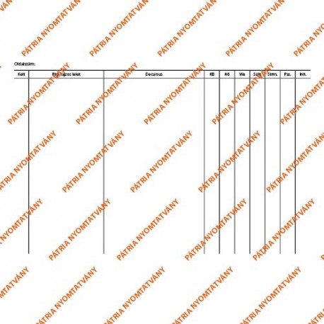 Decursus lap 203x140 mm