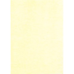 Névjegykártya karton A/4 250g víz sárga