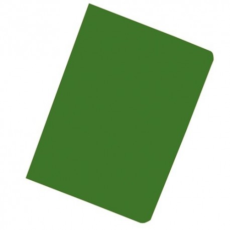 Bemutatómappa Exacompta A/4 10 részes zöld