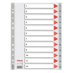 Regiszter PP Esselte A/4 1-12-ig szürke 100106