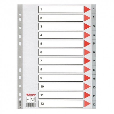 Regiszter PP Esselte A/4 1-12-ig szürke 100106