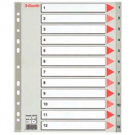 Regiszter PP Esselte A/4 1-12-ig szürke maxi 100125