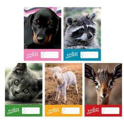 Füzet pd kisalakú 20-32 sima Cute Animals vegyes