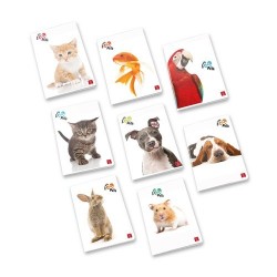 Füzet Pigna Play with Pets A/4 tűzött 50 lapos vonalas margós