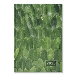 Határidőnapló Period Basic A/5 napi Zöld papír 2023
