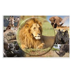 Könyöklő Herma 55x35 cm Afrikai állatok