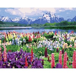 Kreatív kifestő klt. Centrum számozott, 30x40 cm, Svájci hegyek virágos réttel